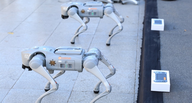 Mexican Police Deploy Robot Dogs for Security at 2026 World Cup